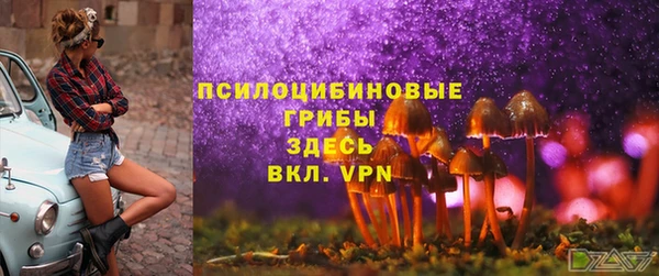 ГАЛЛЮЦИНОГЕННЫЕ ГРИБЫ Вязники