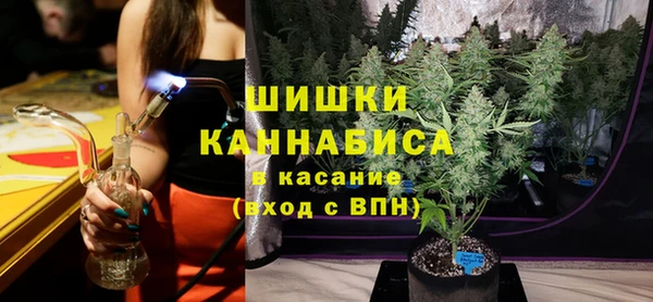 ГАЛЛЮЦИНОГЕННЫЕ ГРИБЫ Вязьма